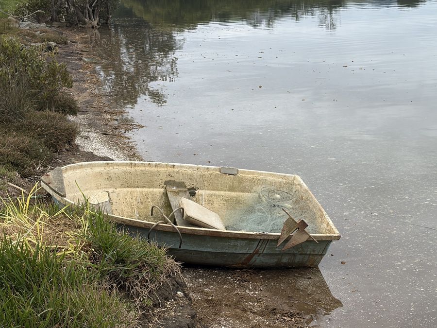 dingy_2.jpeg