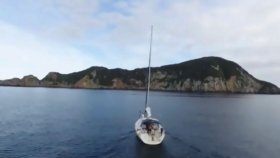 La Vagabonde when she was put up for sale