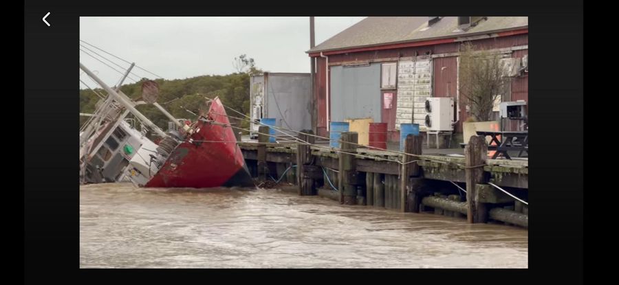 MV Gleaner, sunk at Thames Wharf