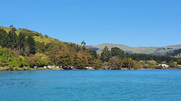 pigeon-bay-boating-club-s-future-safeguarded-by-christchurch-1.webp