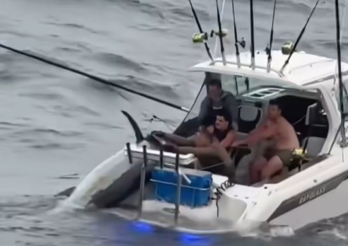 Family's 8m boat beats 400 vessels to land world's biggest fishing prize, 10 June 2026